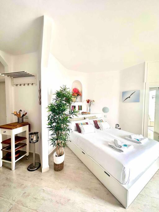 Mirador Paraiso: Superb Sea View Playa Paraiso  Exterior photo