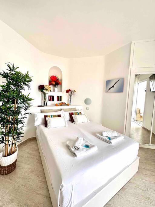 Mirador Paraiso: Superb Sea View Playa Paraiso  Exterior photo